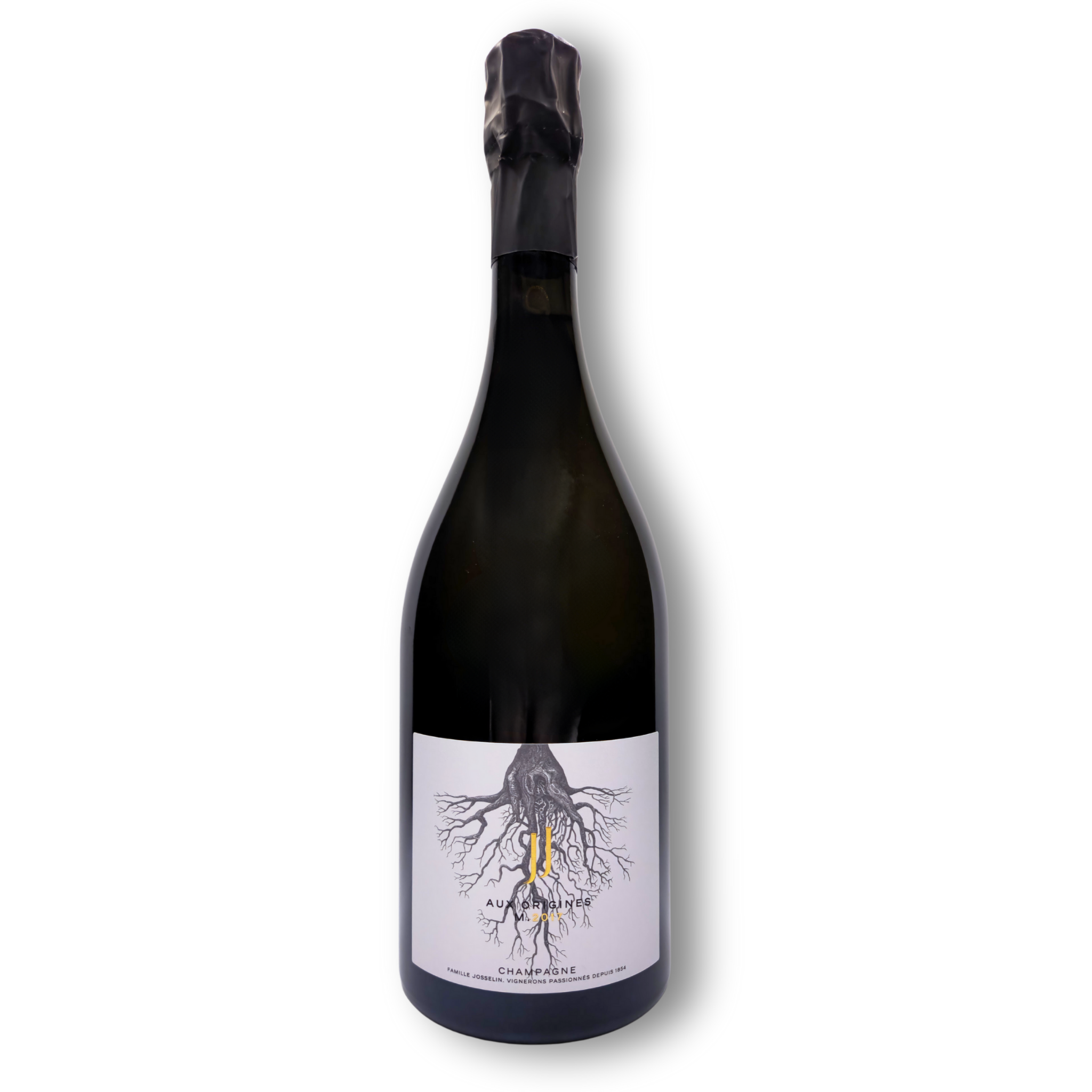 JEAN JOSSELIN - Aux Origines 2017