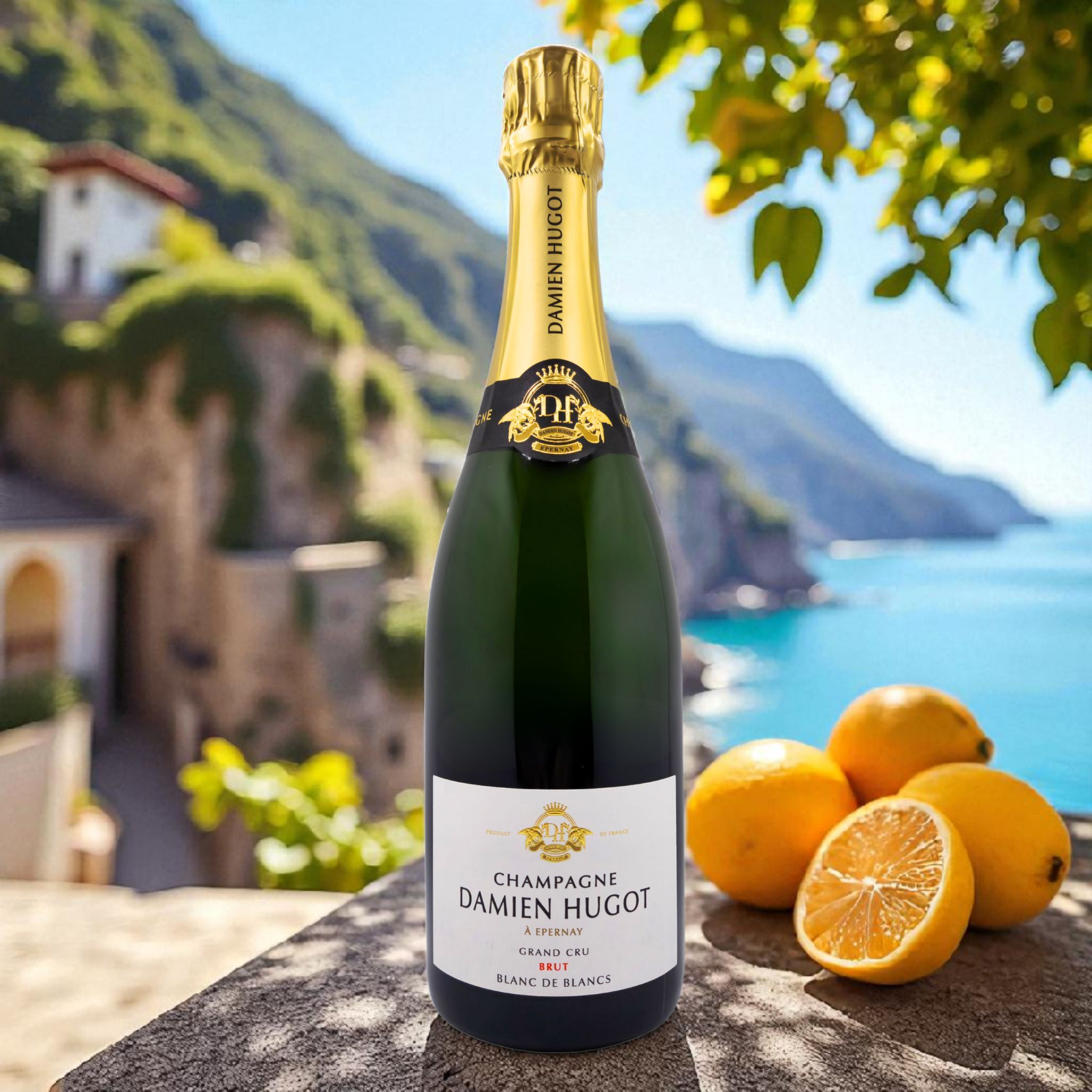 DAMIEN HUGOT - Blanc de Blancs