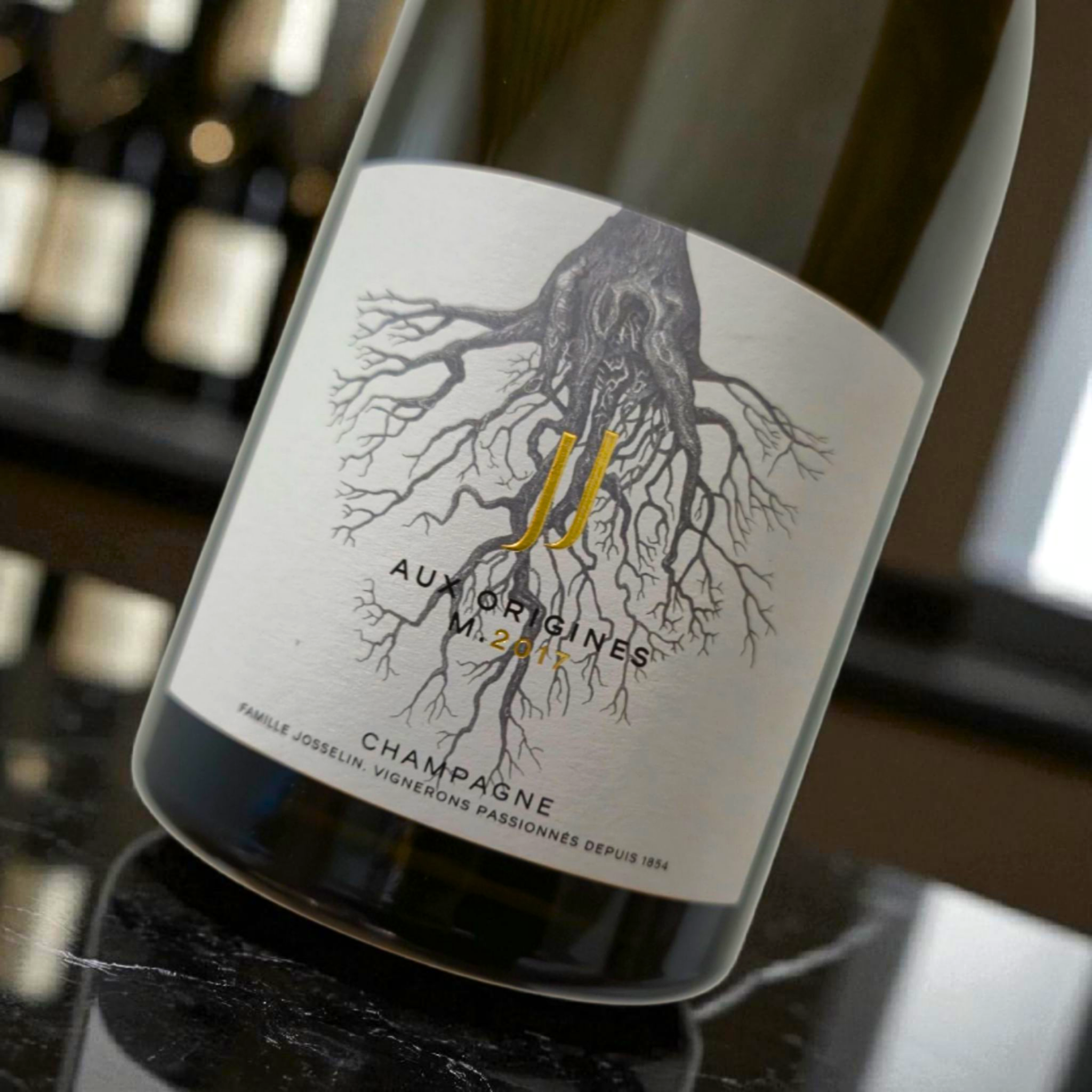 JEAN JOSSELIN - Aux Origines 2017