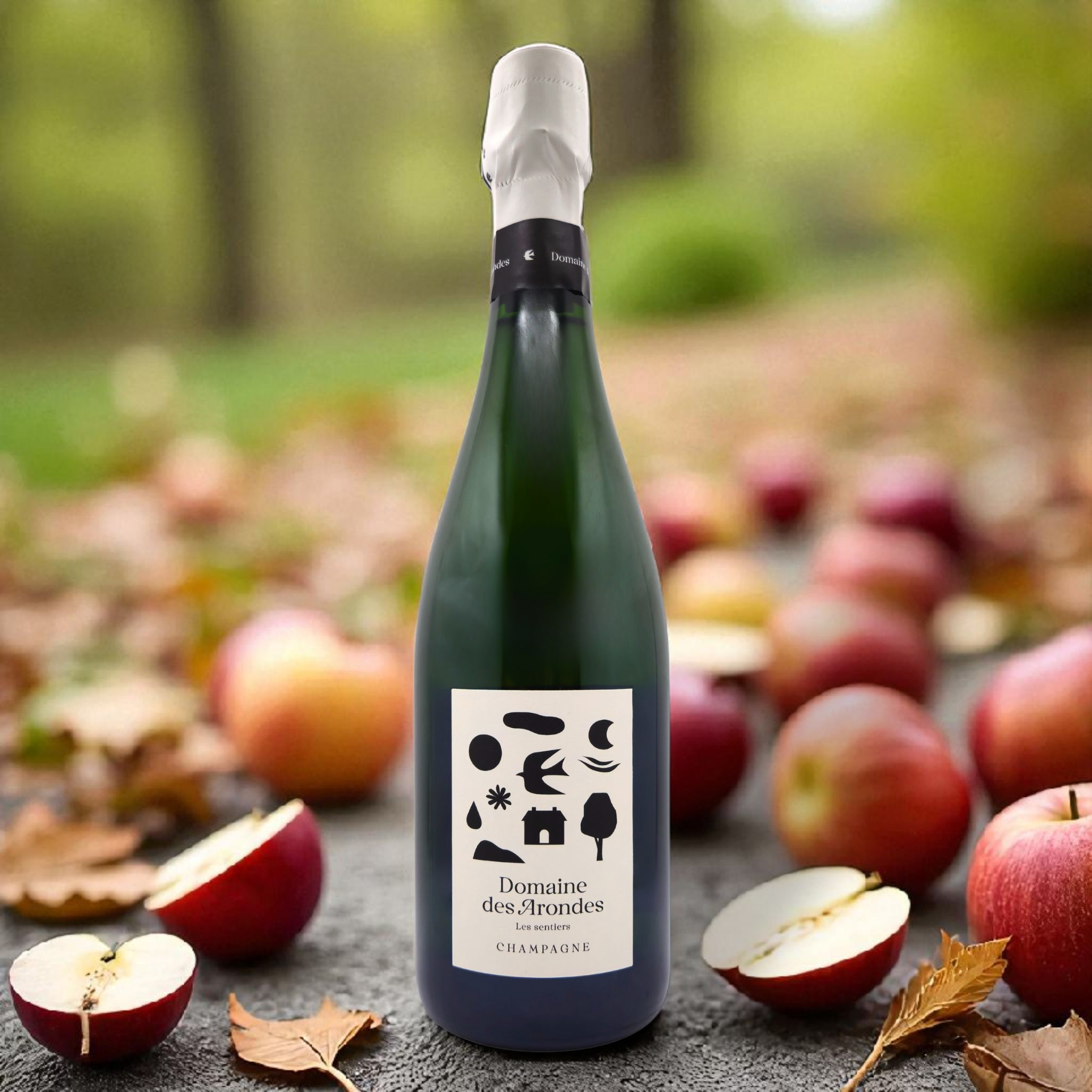 DOMAINE DES ARONDES - Les Sentiers