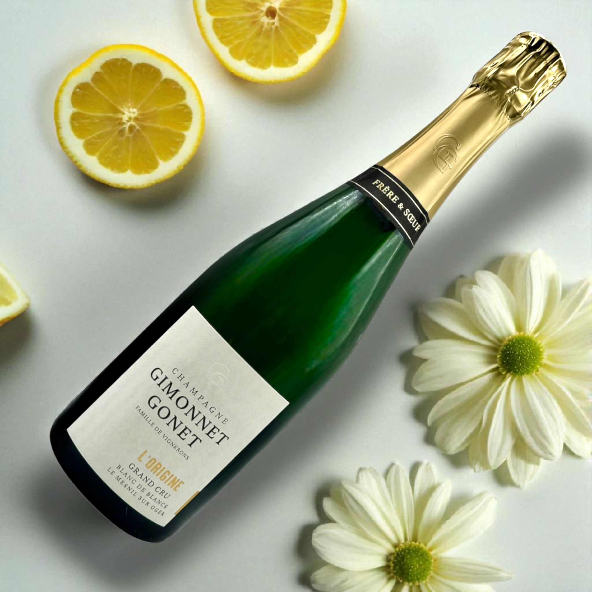 GIMONNET-GONET - L'Origine