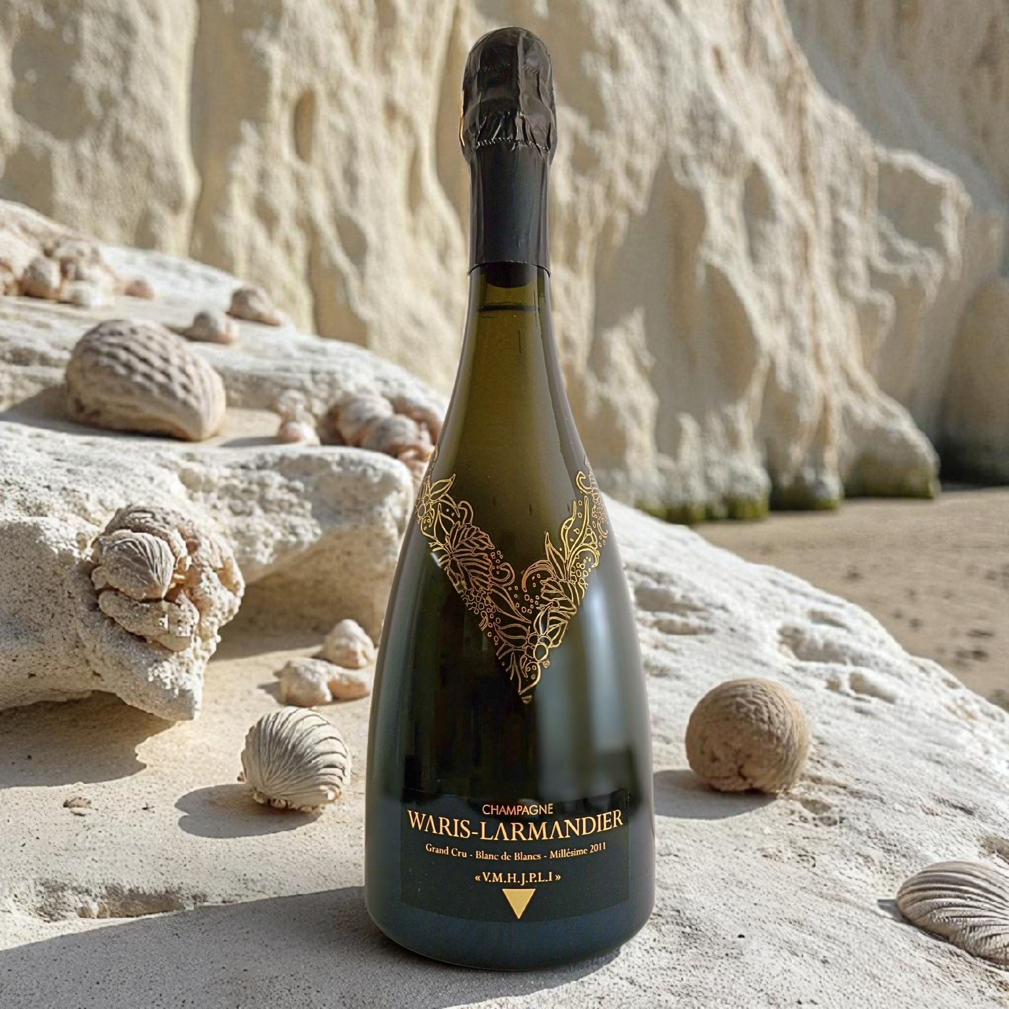 WARIS-LARMANDIER - V.M.H.J.P.L.I. 2011