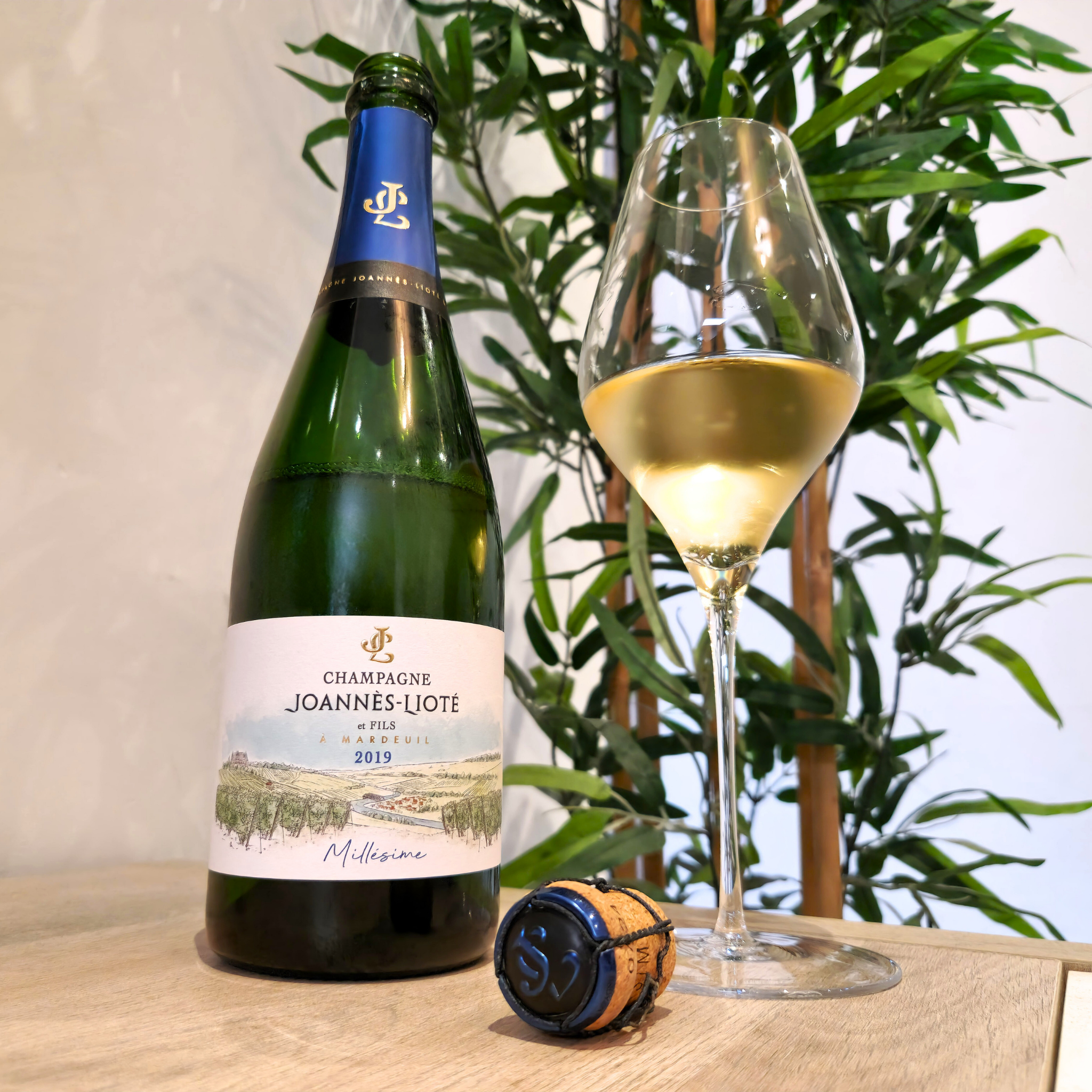 JOANNÈS-LIOTÉ - Vintage 2019