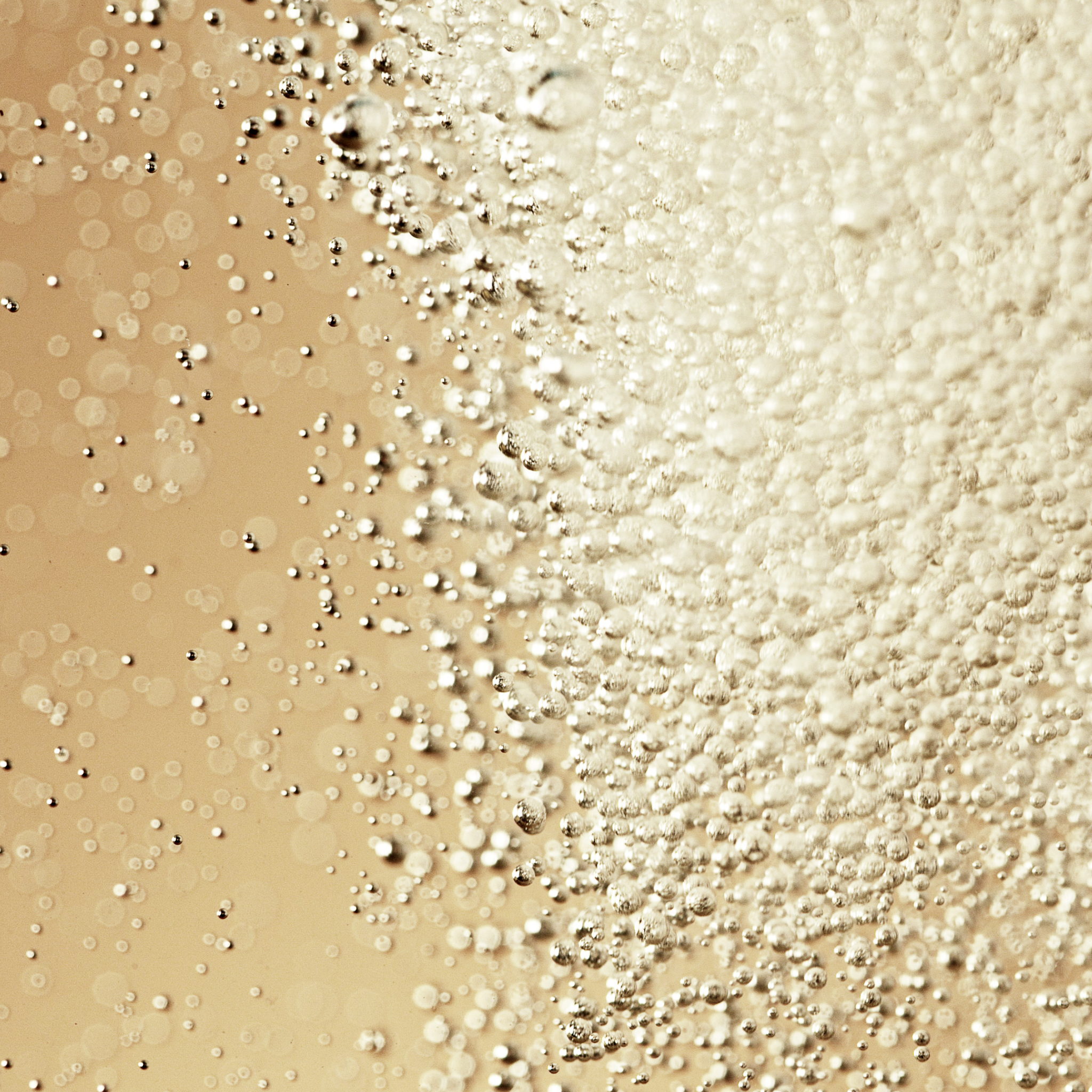 BRUT