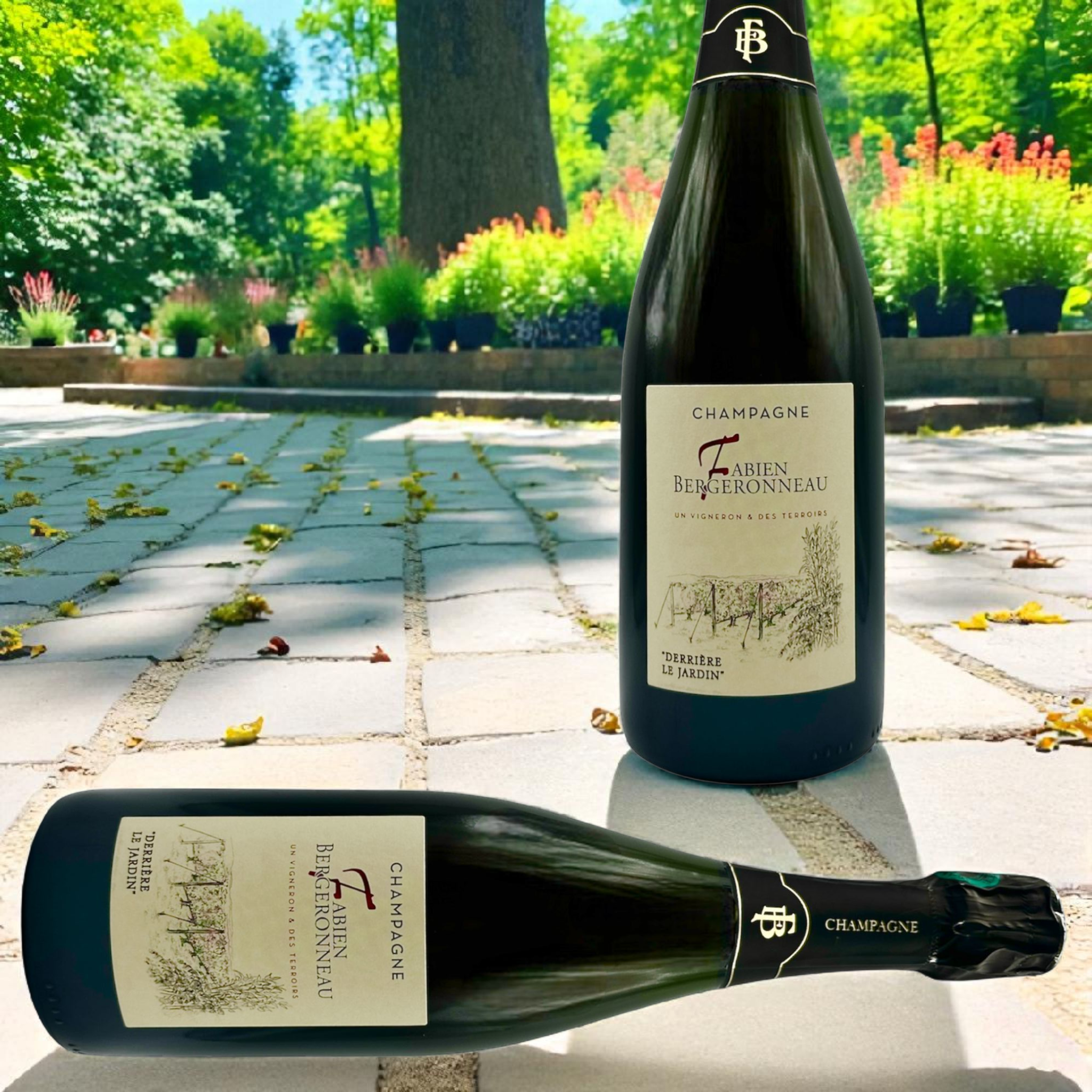 FABIEN BERGERONNEAU - Derrière le Jardin Rosé