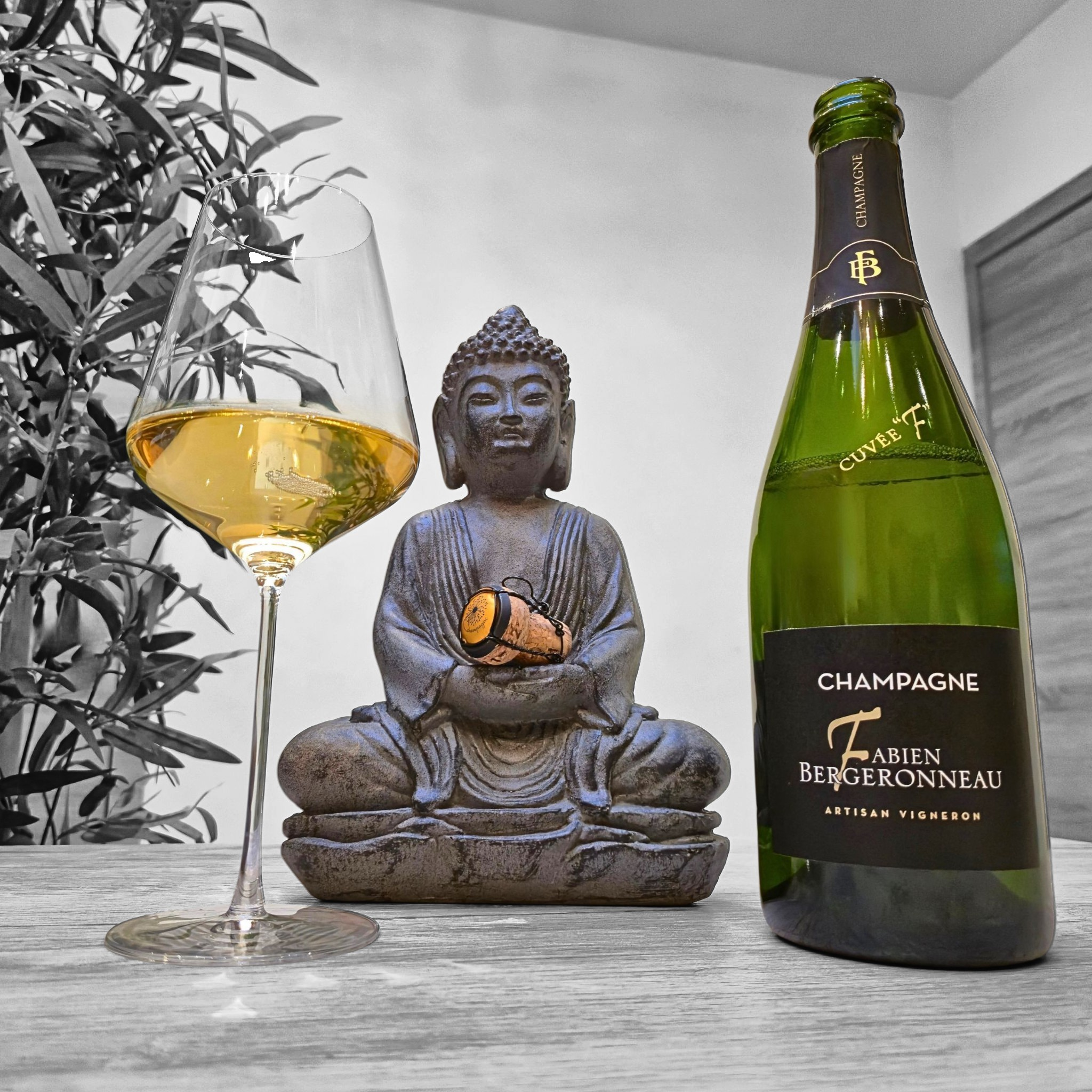 FABIEN BERGERONNEAU - Cuvée "F"