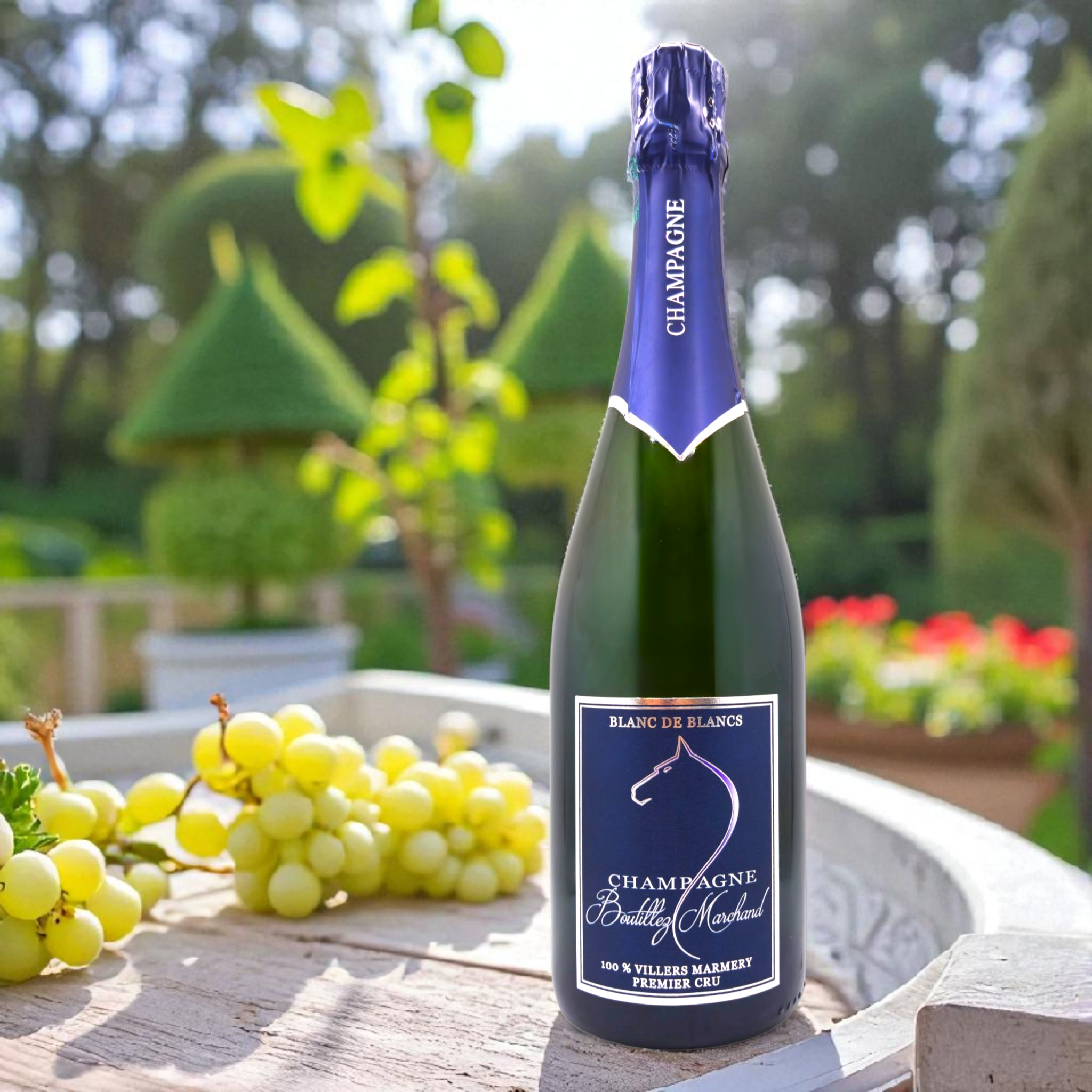 BOUTILLEZ-MARCHAND - Blanc de Blancs