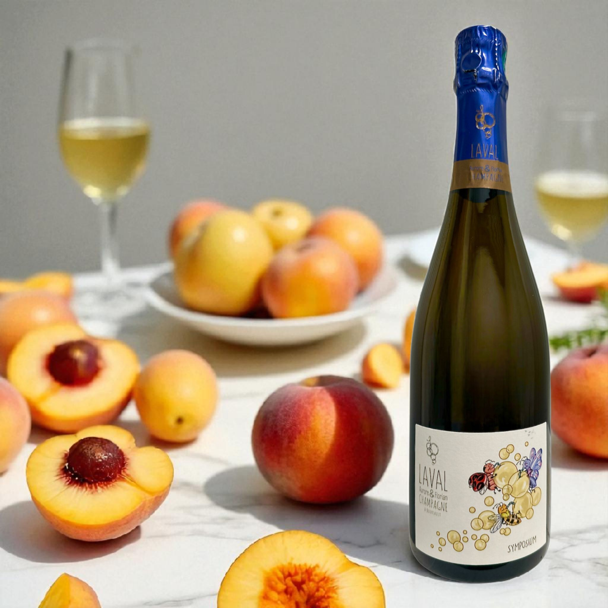 FLORIAN & AURORE LAVAL - Symposium