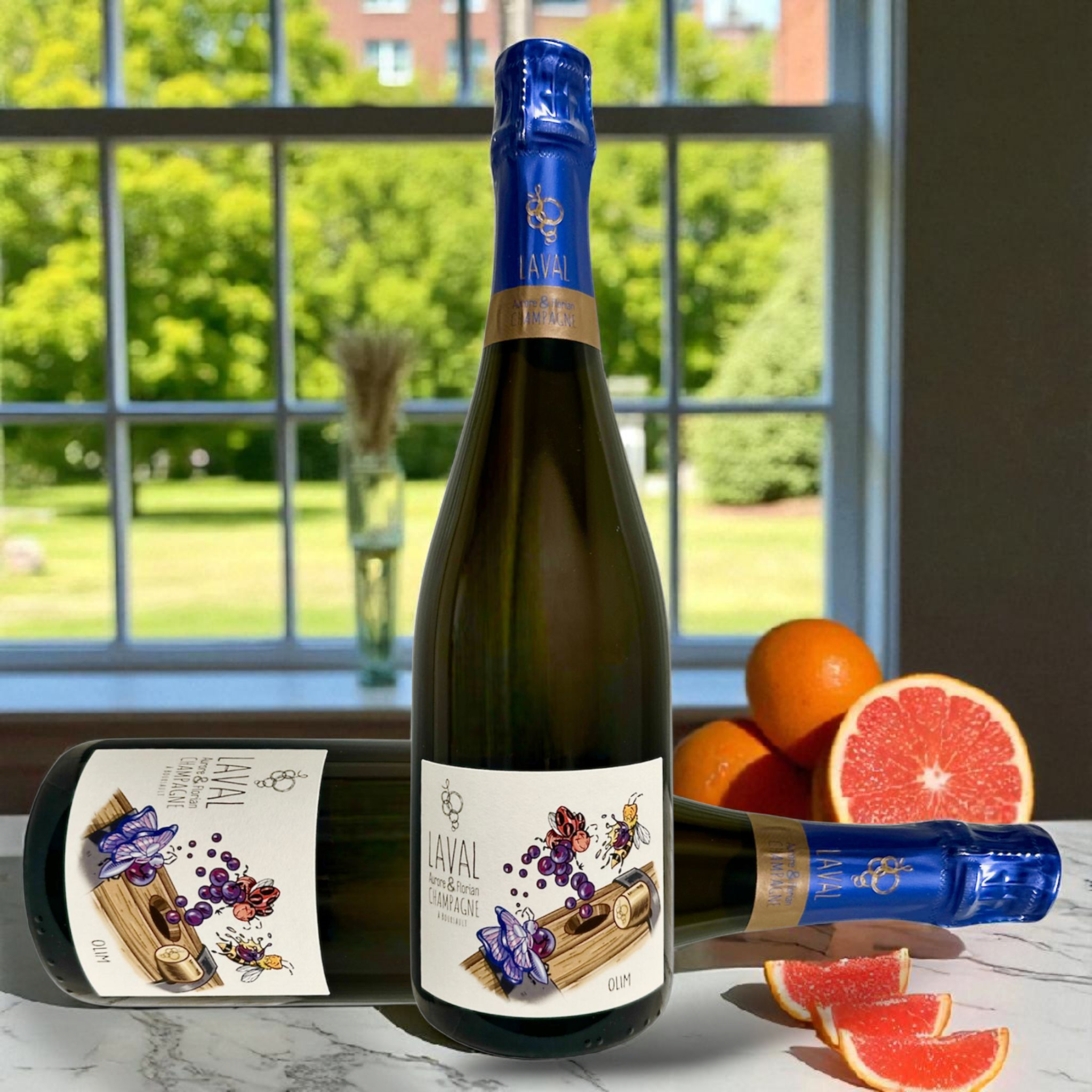 FLORIAN & AURORE LAVAL - Olim Rosé