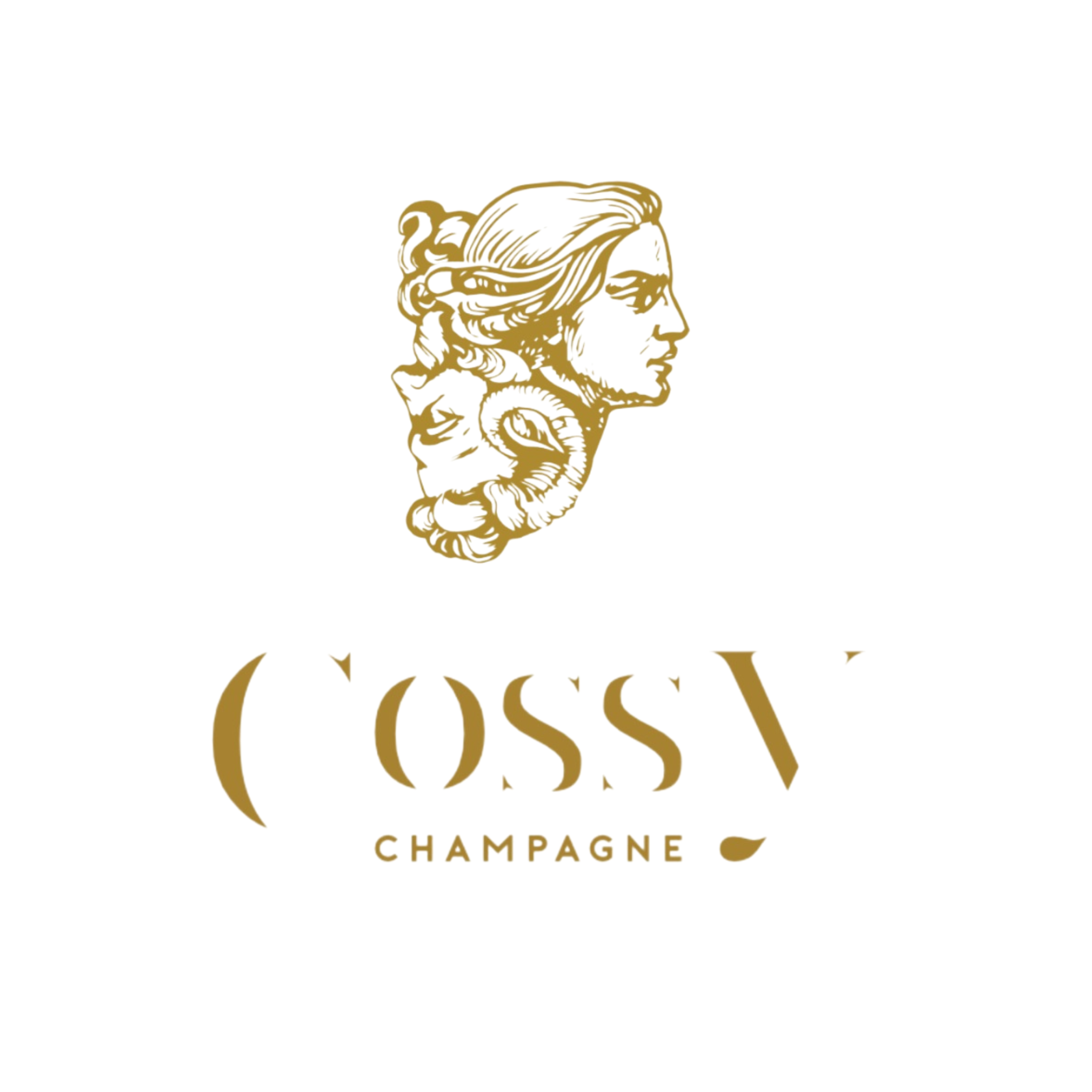 COSSY - Sophistiquée 2014