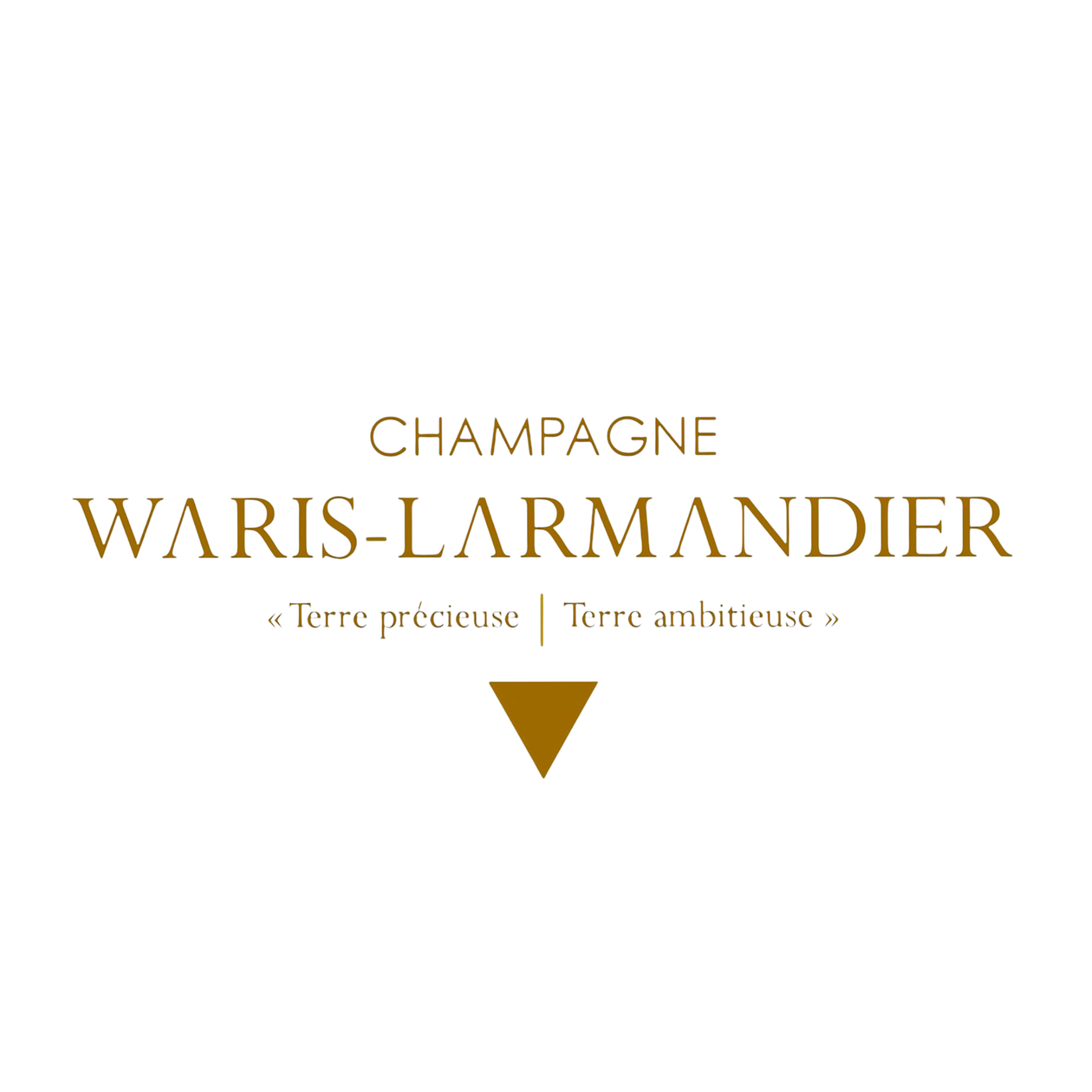 WARIS-LARMANDIER - V.M.H.J.P.L.I. 2011